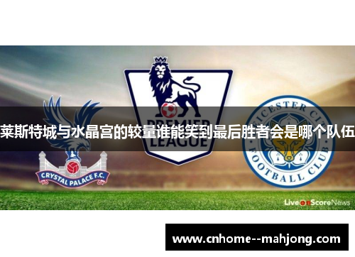 莱斯特城与水晶宫的较量谁能笑到最后胜者会是哪个队伍 莱斯特城与水晶宫的较量谁能笑到最后胜者会是哪个队伍